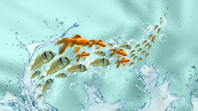 2296142-1920x1080-[DesktopNexus.com]